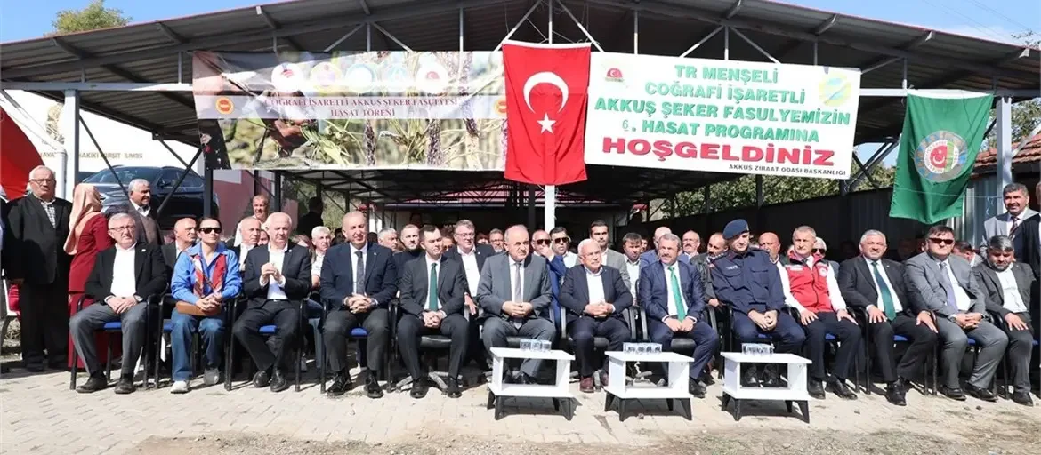 Ordu'da "Akkuş Şeker Fasulyesi" hasatı başladı
