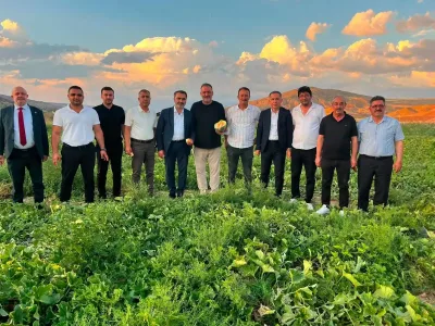 Delice kara kavunu bilimle geleceğe taşınıyor